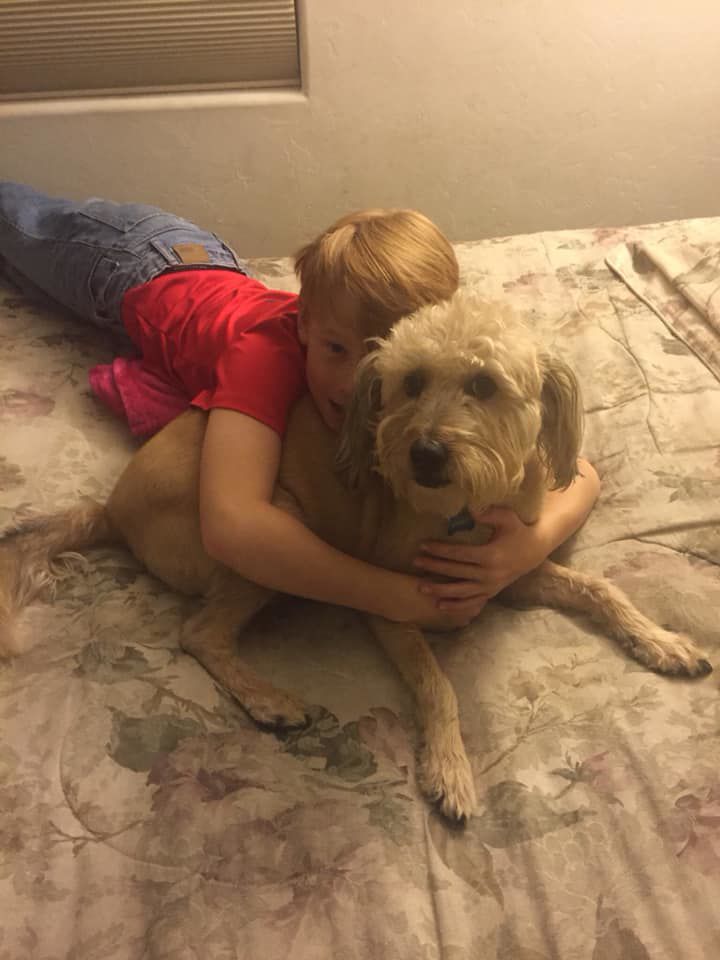 Readers pet photos